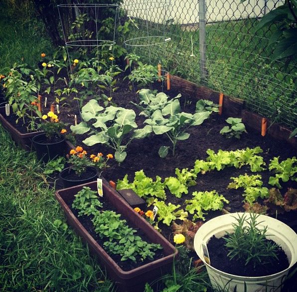 Other Ways To Use Aspirin To Help Your Everyday Life