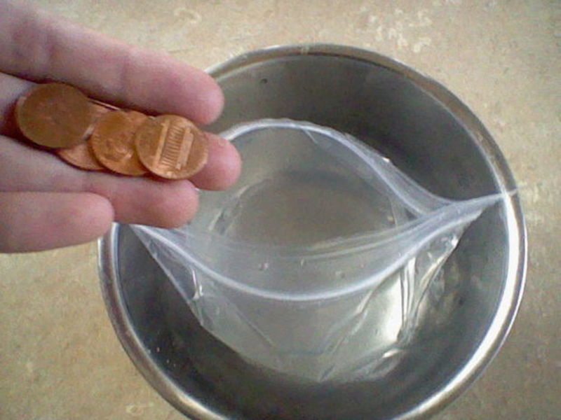 Create A "Fly Preventing Bag" Using Pennies And A Bag Of Water