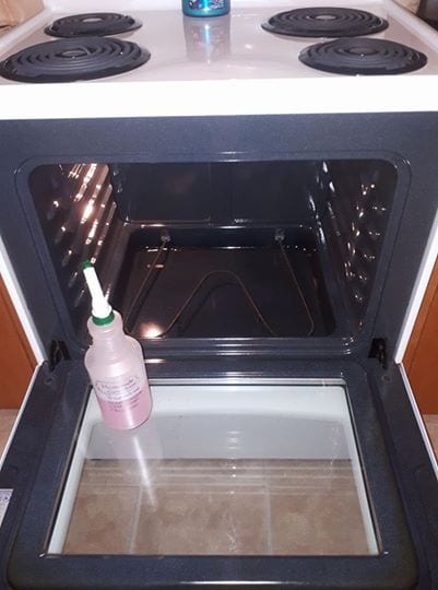 homemade oven cleaner