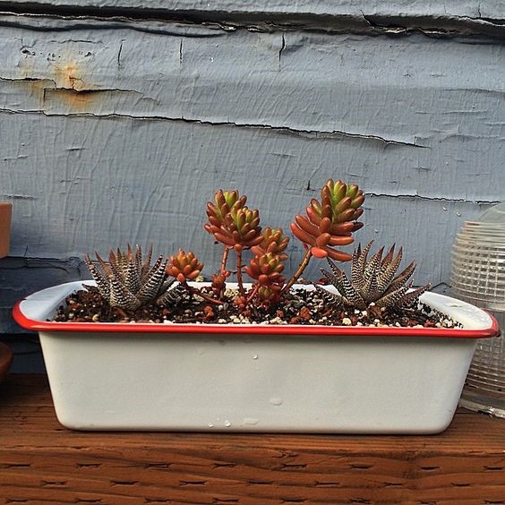 30 smart ways to reuse and upcycle old baking pans