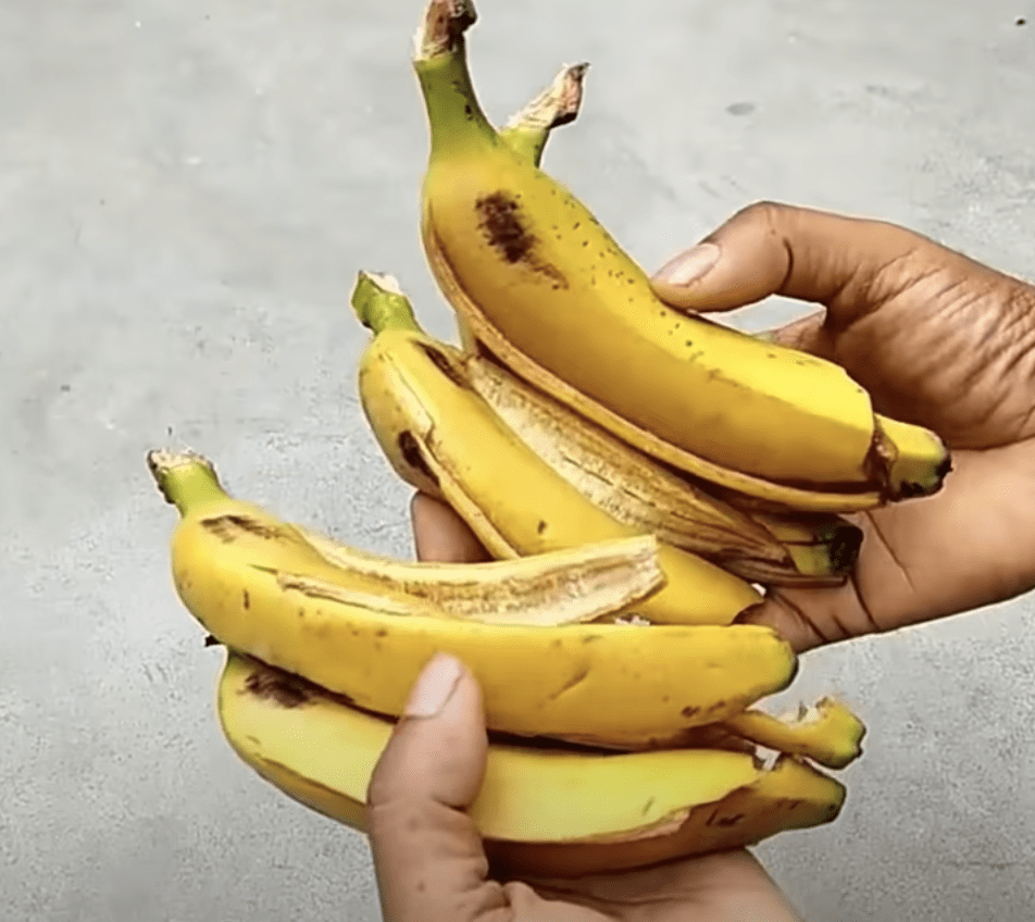 Man shows how to make free plant fertilizer with banana peel in 3 easy