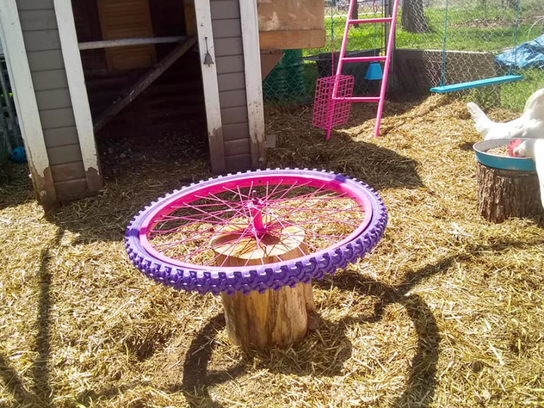 People are upcycling old bike tires into merrygorounds for their chickens
