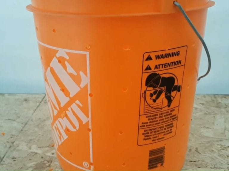 Man shows how to grow gourmet mushrooms in a 5gallon bucket with ease