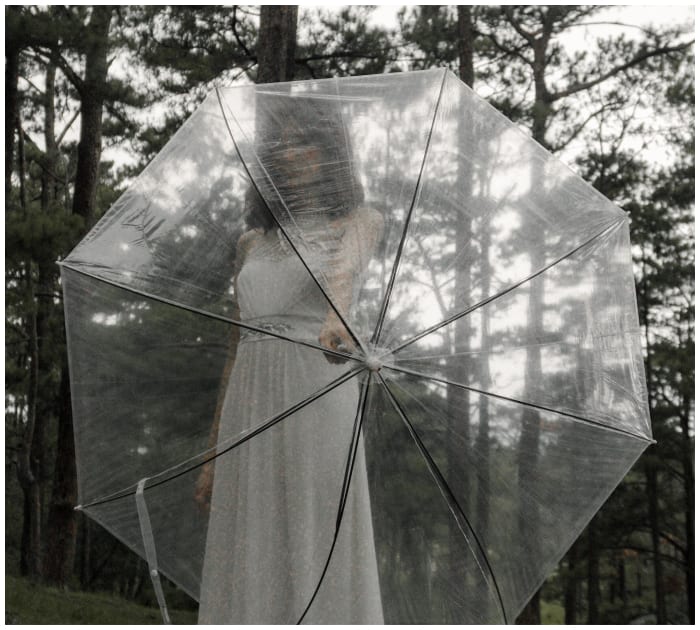 People are using clear plastic umbrellas from the dollar store to make