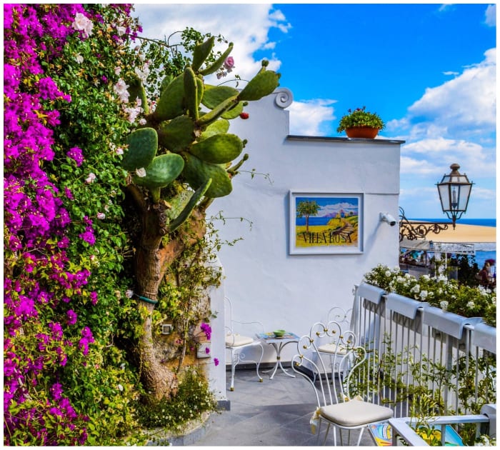 Take a tour of the deadliest garden in the world