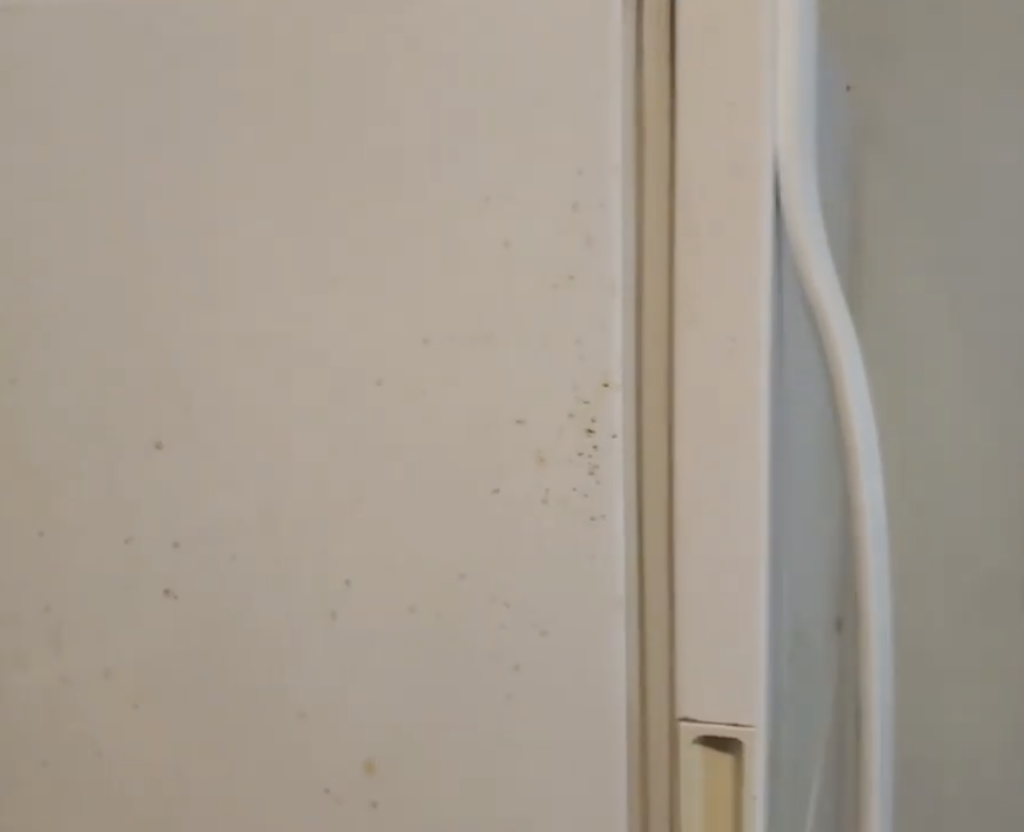 If you notice rust on the outside of your refrigerator here’s how to ...