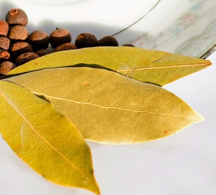 Learn how to grow a healthy bay tree and the many uses of its fragrant