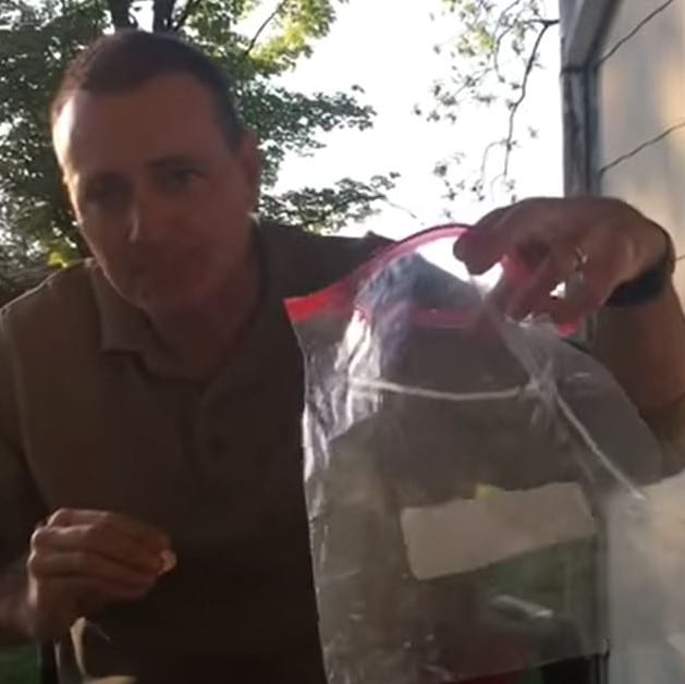 Stick 4 pennies in a plastic baggie for an old Southern trick to keep