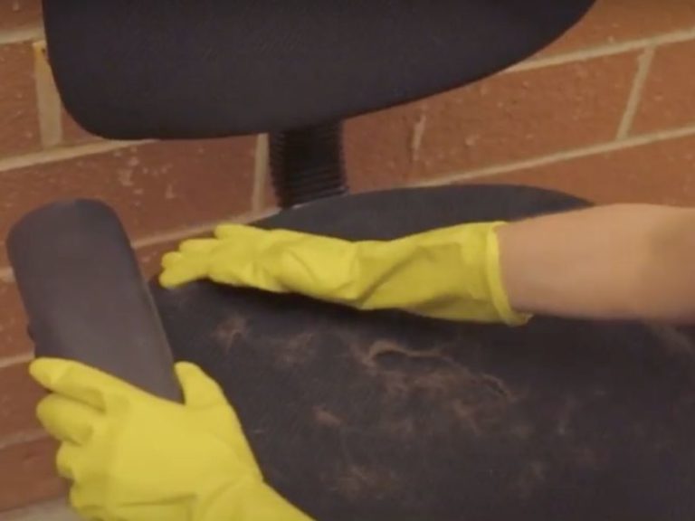 4 DIY hacks to remove pet hair from furniture, clothing, and carpet