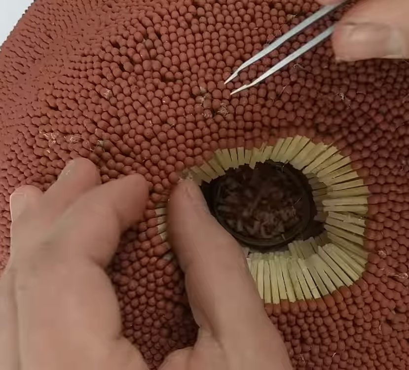 Man lights volcano made from matches and toilet paper roll and gets