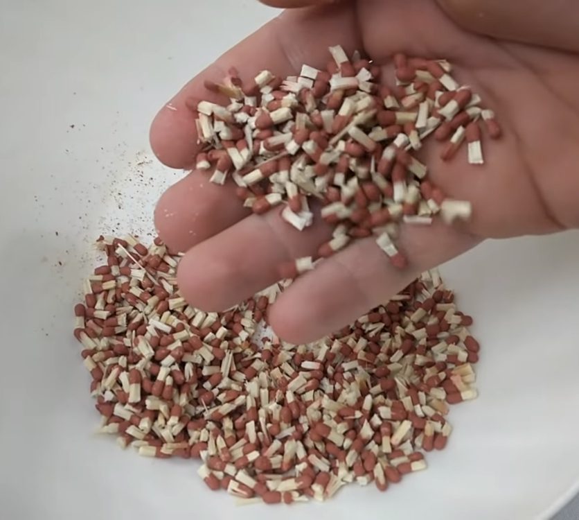 Man lights volcano made from matches and toilet paper roll and gets