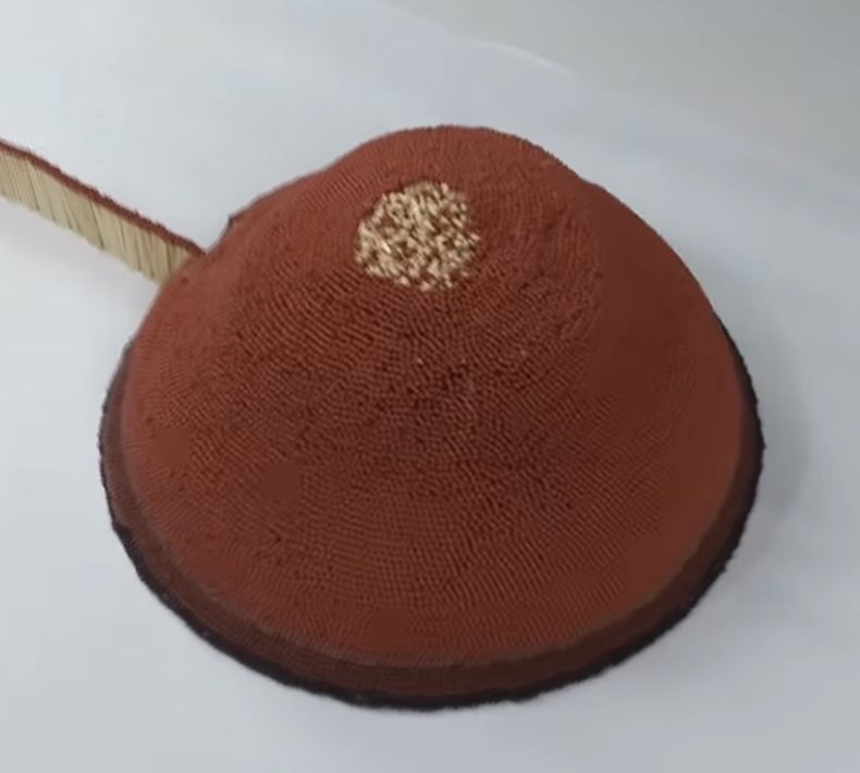 Man lights volcano made from matches and toilet paper roll and gets