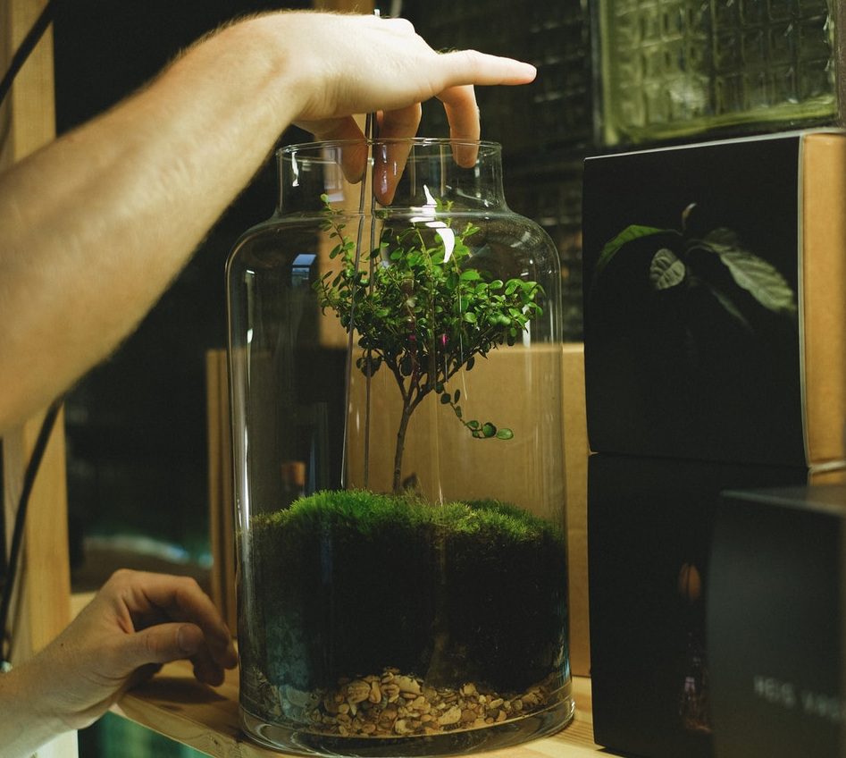 Man shows brilliant way to make running waterfalls in beautiful moss