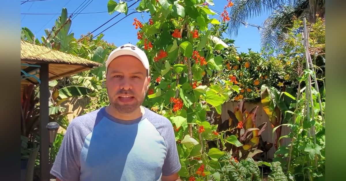 Gardener shares 7 fastgrowing veggies that can still be planted in July