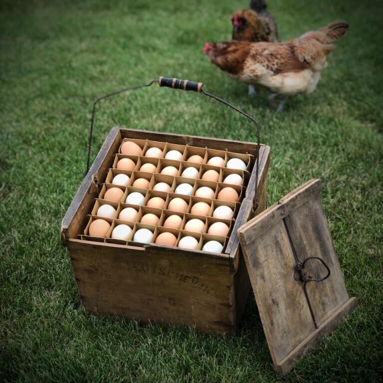 35+ Uses For Old Egg Cartons At Home