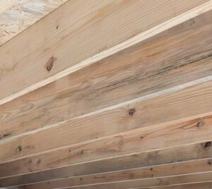 Man explains how to turn $16,000 Home Depot shed into tiny house