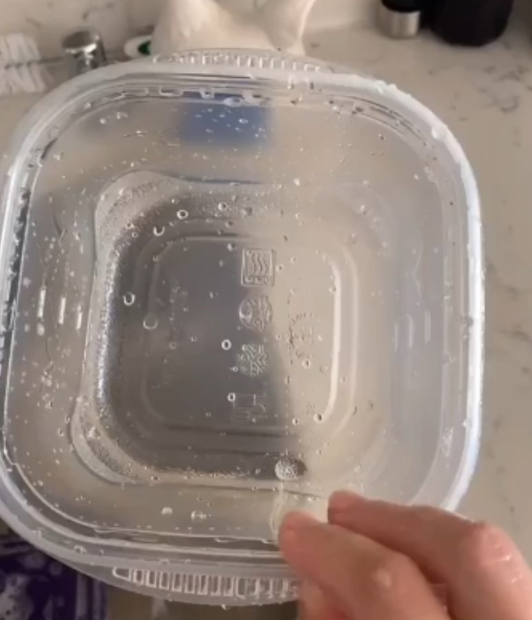 Before and After: I Tried the TikTok Tupperware Cleaning Hack