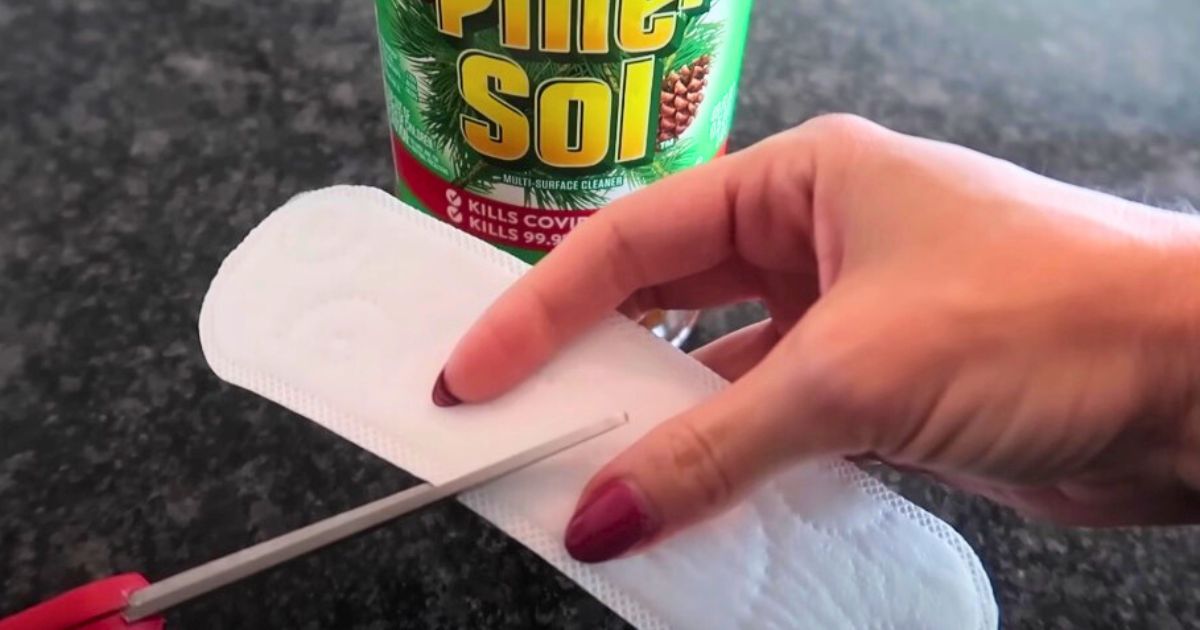 Mom Puts PineSol on a Panty Liner For Ingenious Hack
