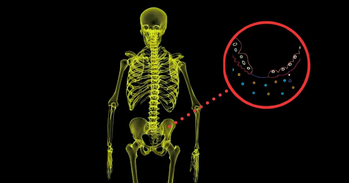 THINGS WE DON T KNOW ABOUT THE HUMAN BODY visual data 5